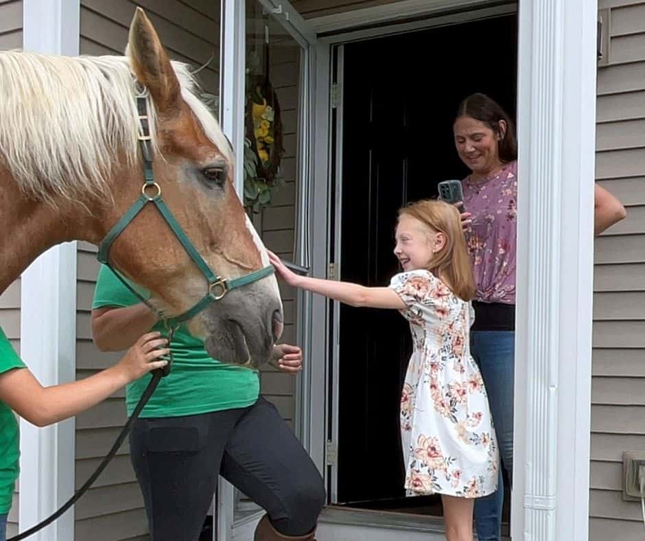 63 63